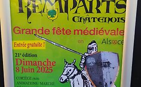 Gite Le Marronnier - Au Calme - Parking & Terrasse - Pres De Colmar Et Riquewihr - Route Des Vins