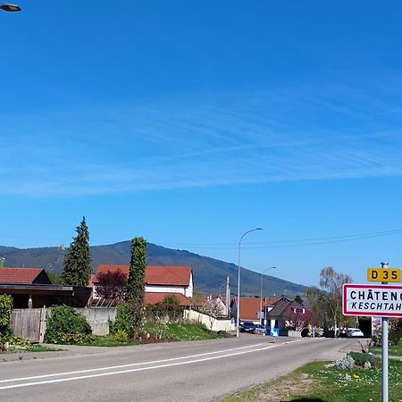Gite Le Marronnier - Au Calme - Parking & Terrasse - Pres De Colmar Et Riquewihr - Route Des Vins Châtenois Extérieur photo