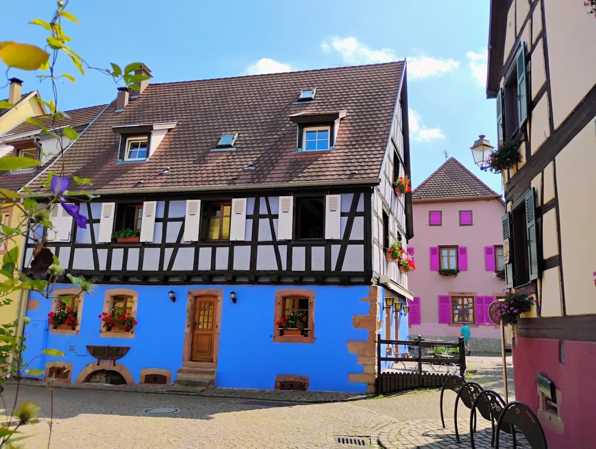 Gite Le Marronnier - Au Calme - Parking & Terrasse - Pres De Colmar Et Riquewihr - Route Des Vins Châtenois Extérieur photo