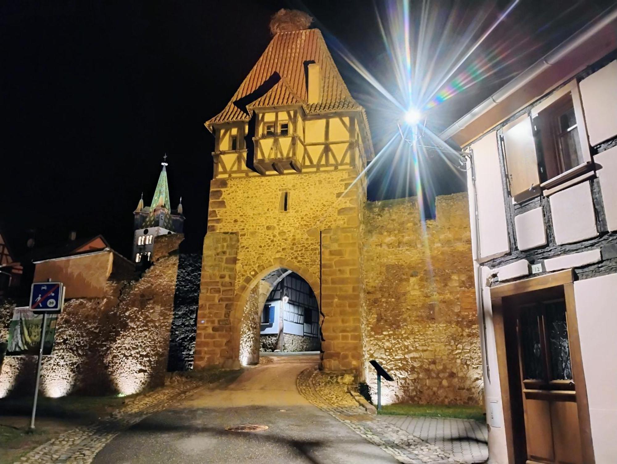 Gite Le Marronnier - Au Calme - Parking & Terrasse - Pres De Colmar Et Riquewihr - Route Des Vins Châtenois Extérieur photo