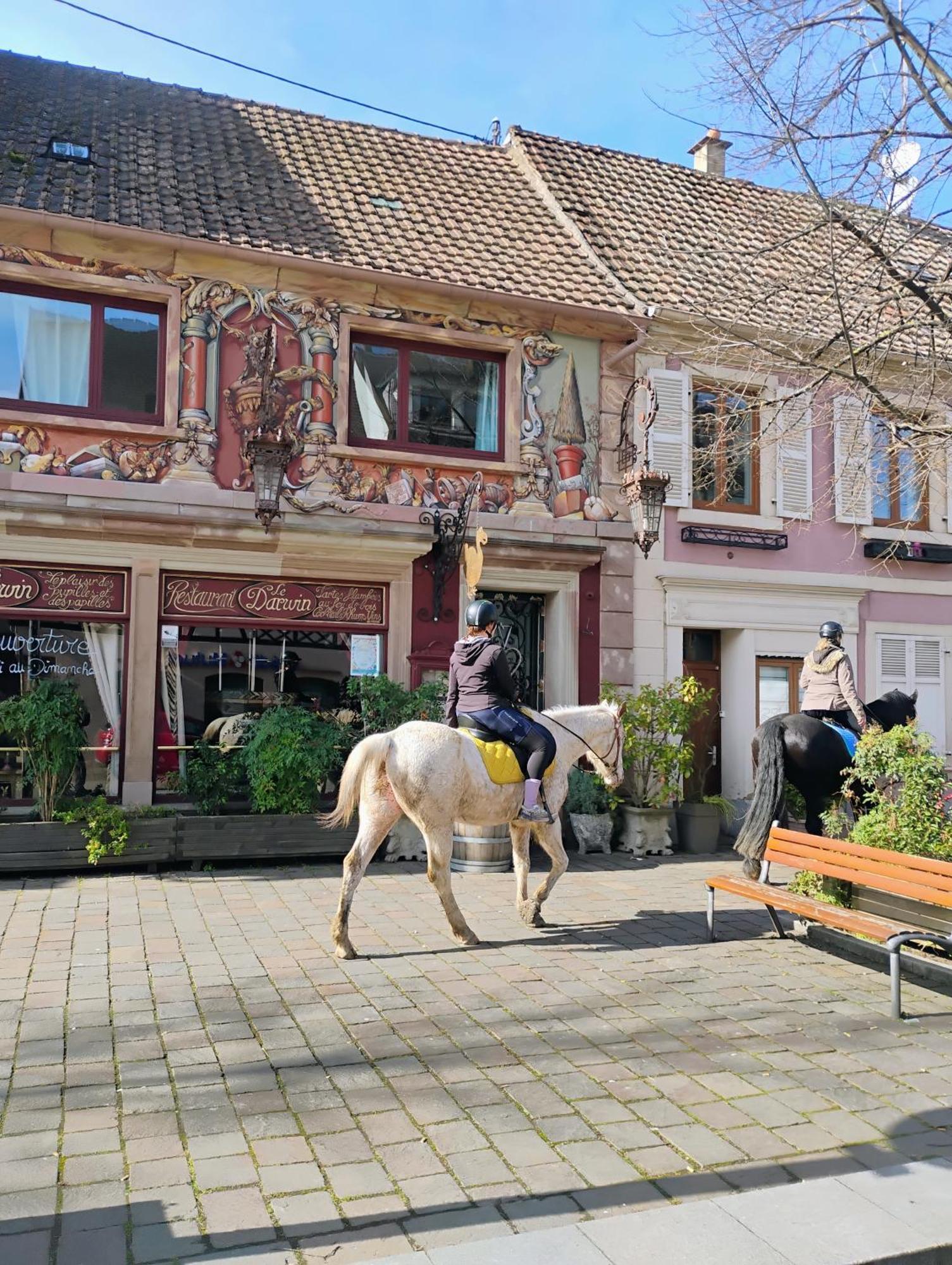 Gite Le Marronnier - Au Calme - Parking & Terrasse - Pres De Colmar Et Riquewihr - Route Des Vins Châtenois Extérieur photo
