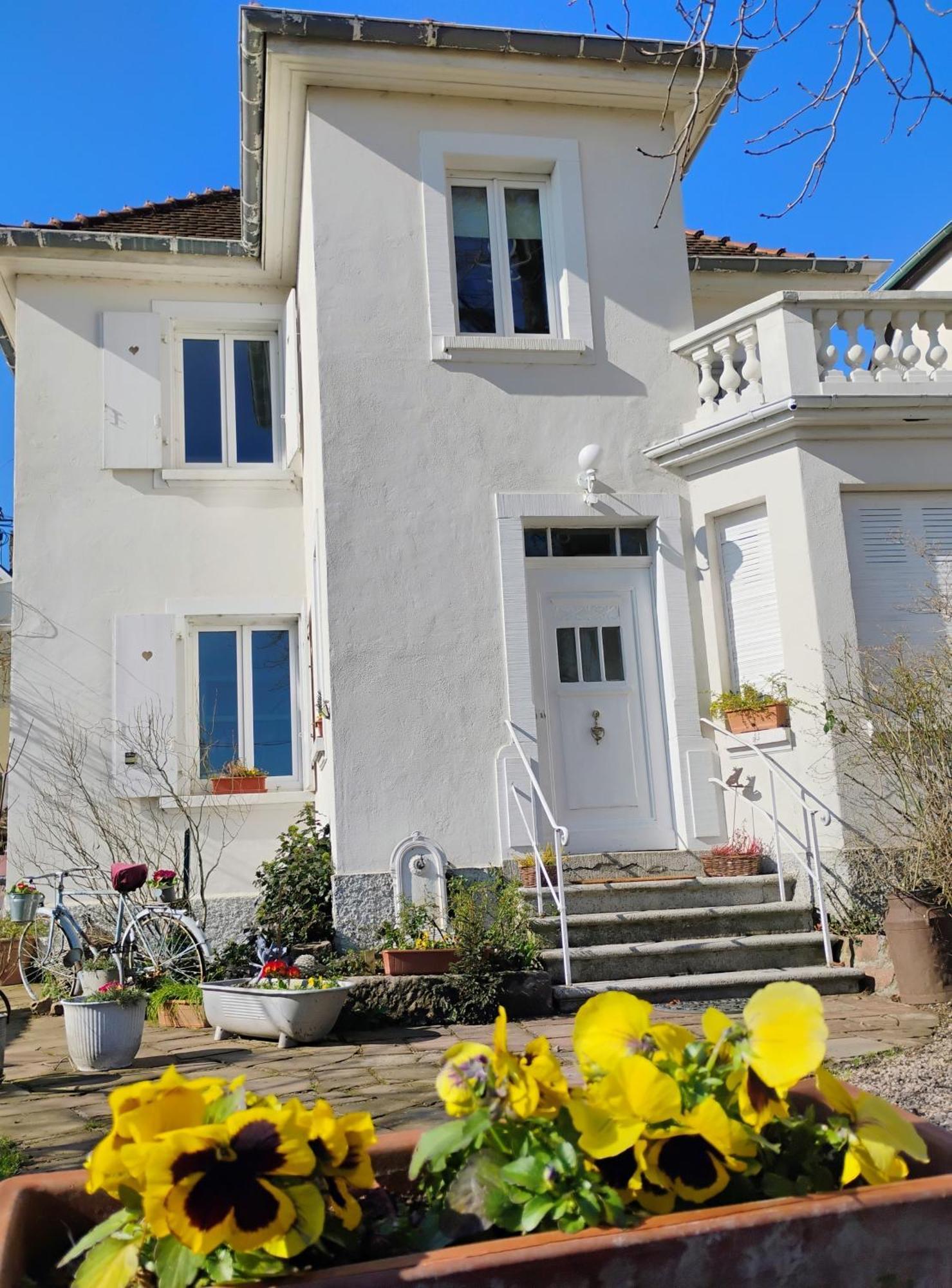 Gite Le Marronnier - Au Calme - Parking & Terrasse - Pres De Colmar Et Riquewihr - Route Des Vins Châtenois Extérieur photo