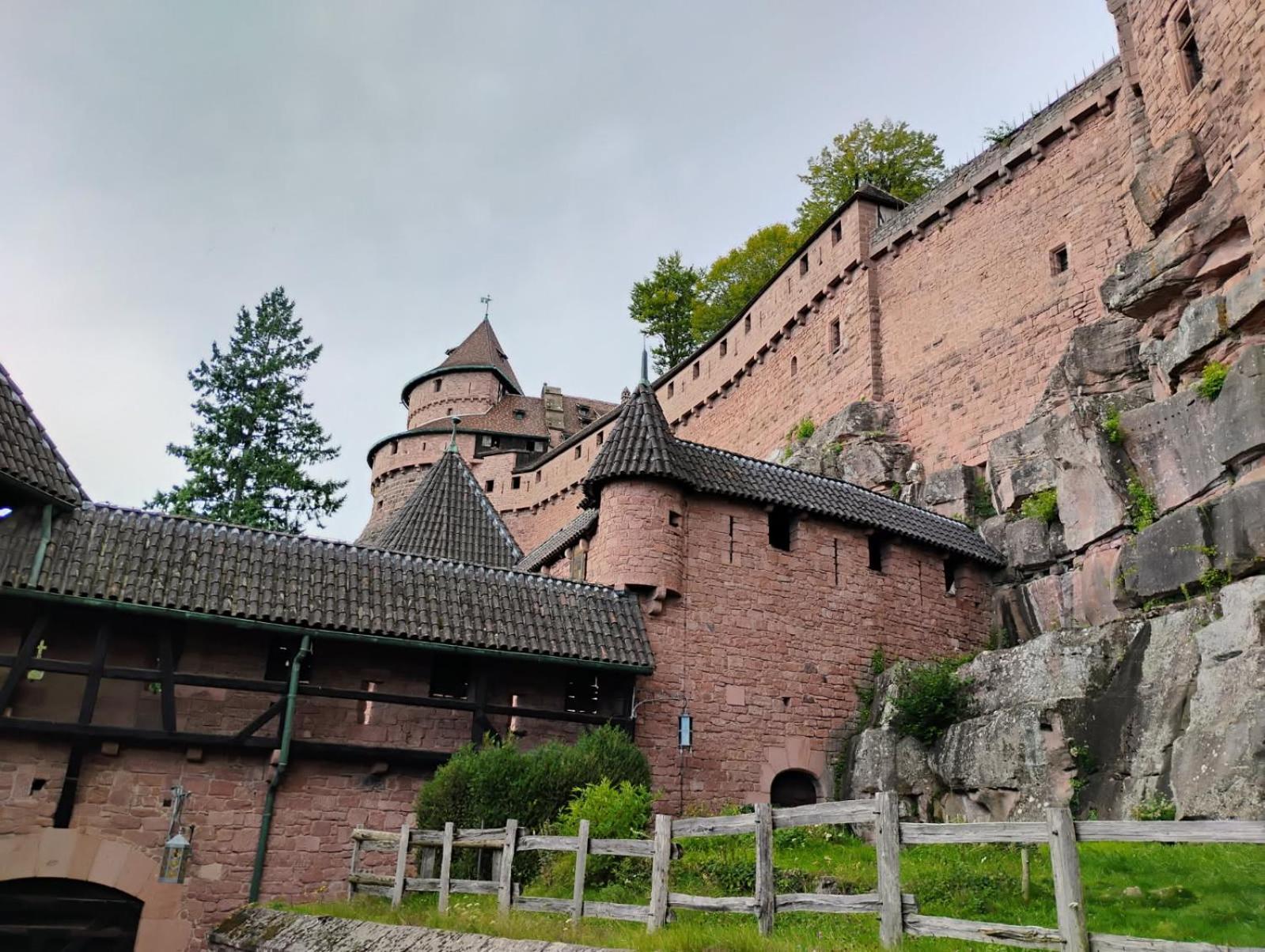 Gite Le Marronnier - Au Calme - Parking & Terrasse - Pres De Colmar Et Riquewihr - Route Des Vins Châtenois Extérieur photo