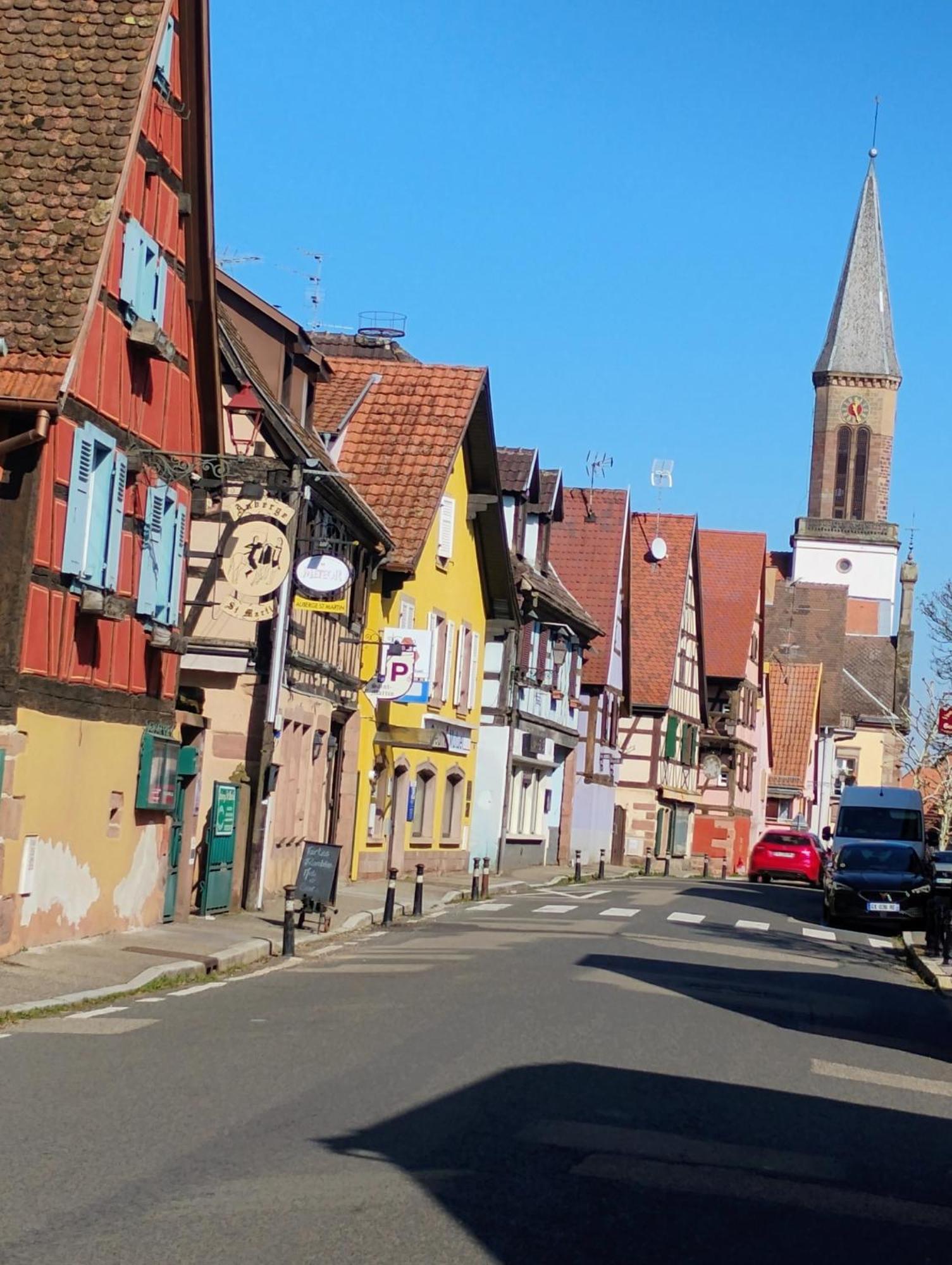 Gite Le Marronnier - Au Calme - Parking & Terrasse - Pres De Colmar Et Riquewihr - Route Des Vins Châtenois Extérieur photo