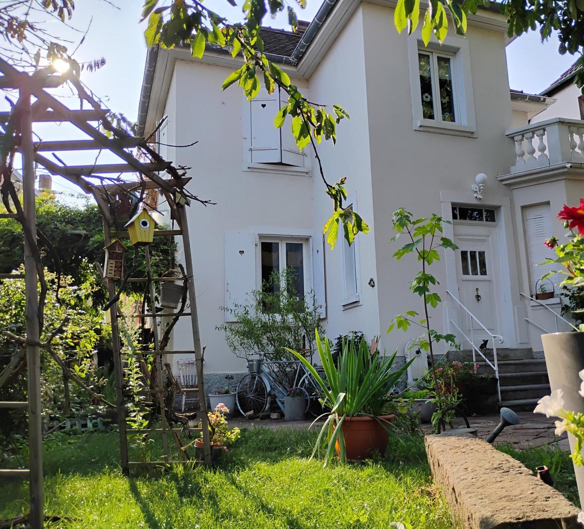 Gite Le Marronnier - Au Calme - Parking & Terrasse - Pres De Colmar Et Riquewihr - Route Des Vins Châtenois Extérieur photo