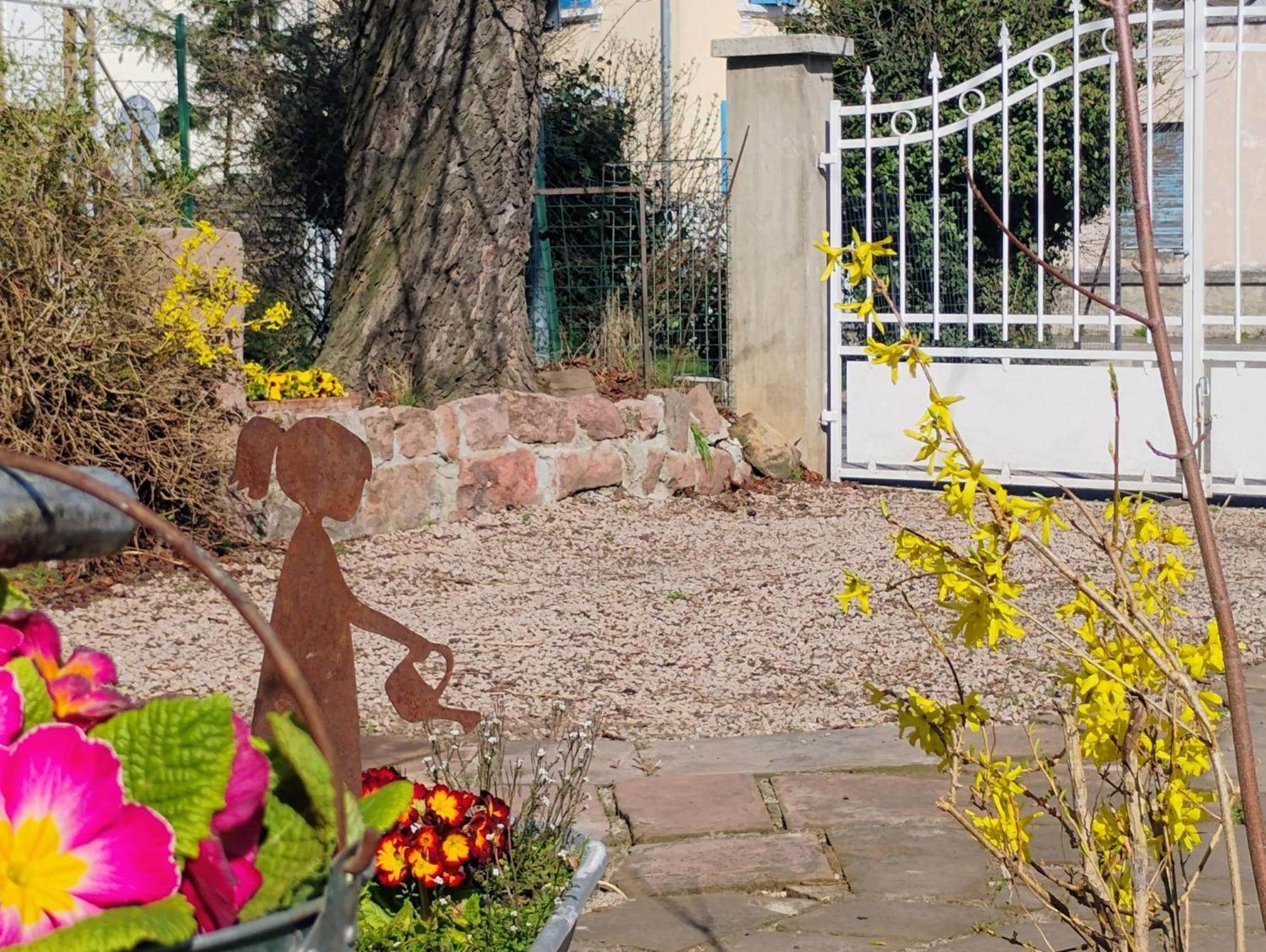 Gite Le Marronnier - Au Calme - Parking & Terrasse - Pres De Colmar Et Riquewihr - Route Des Vins Châtenois Extérieur photo