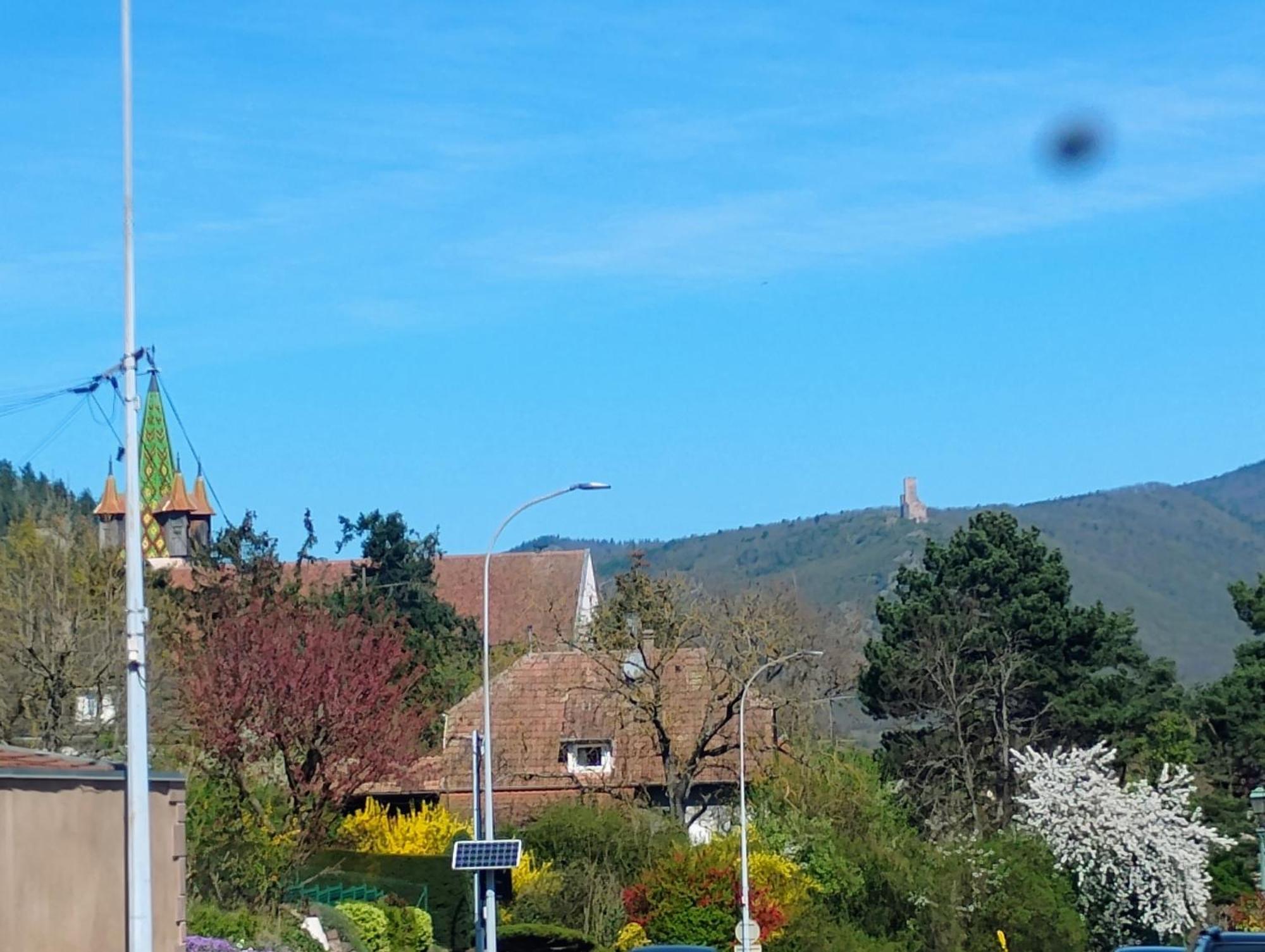 Gite Le Marronnier - Au Calme - Parking & Terrasse - Pres De Colmar Et Riquewihr - Route Des Vins Châtenois Extérieur photo