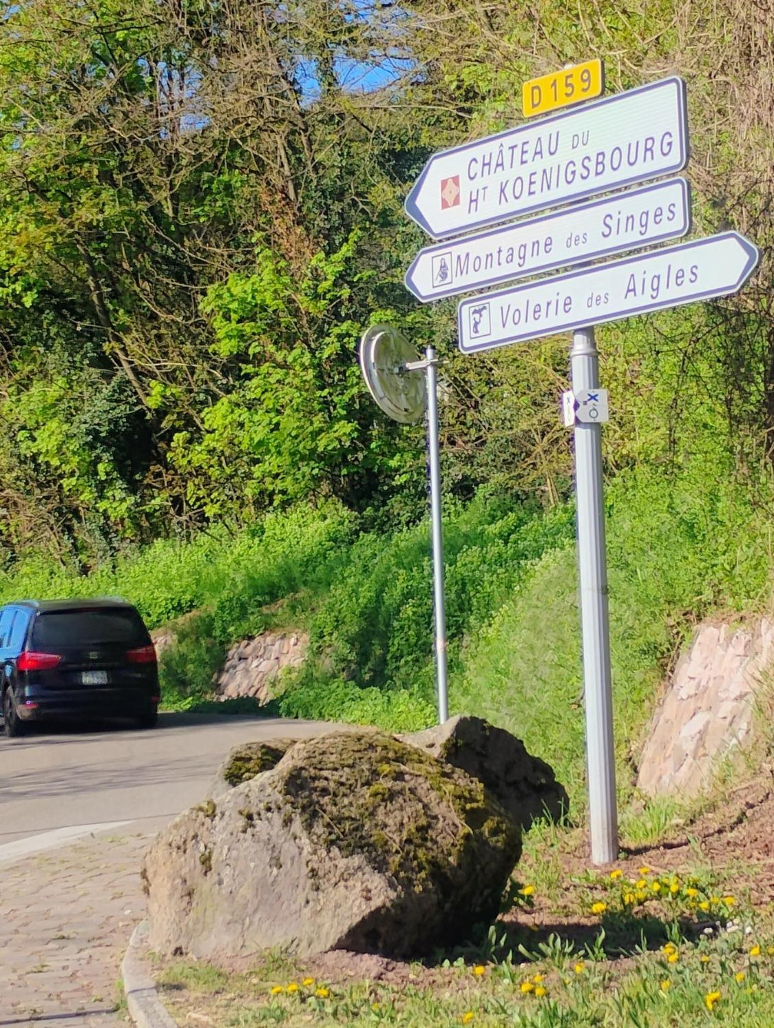 Gite Le Marronnier - Au Calme - Parking & Terrasse - Pres De Colmar Et Riquewihr - Route Des Vins Châtenois Extérieur photo