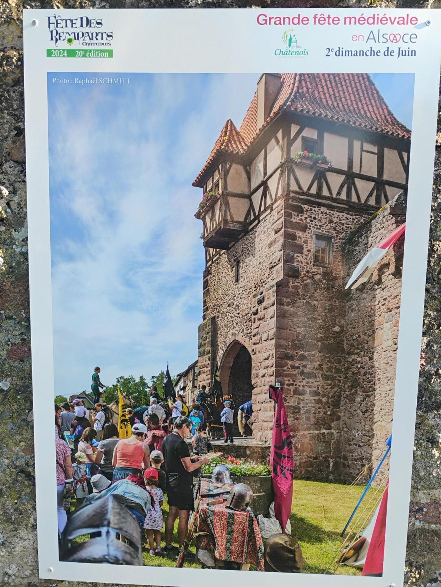 Gite Le Marronnier - Au Calme - Parking & Terrasse - Pres De Colmar Et Riquewihr - Route Des Vins Châtenois Extérieur photo